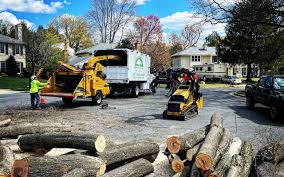 Seasonal Cleanup (Spring/Fall) in Durand, WI